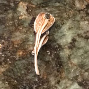 Sterling silver flower..pin🌺